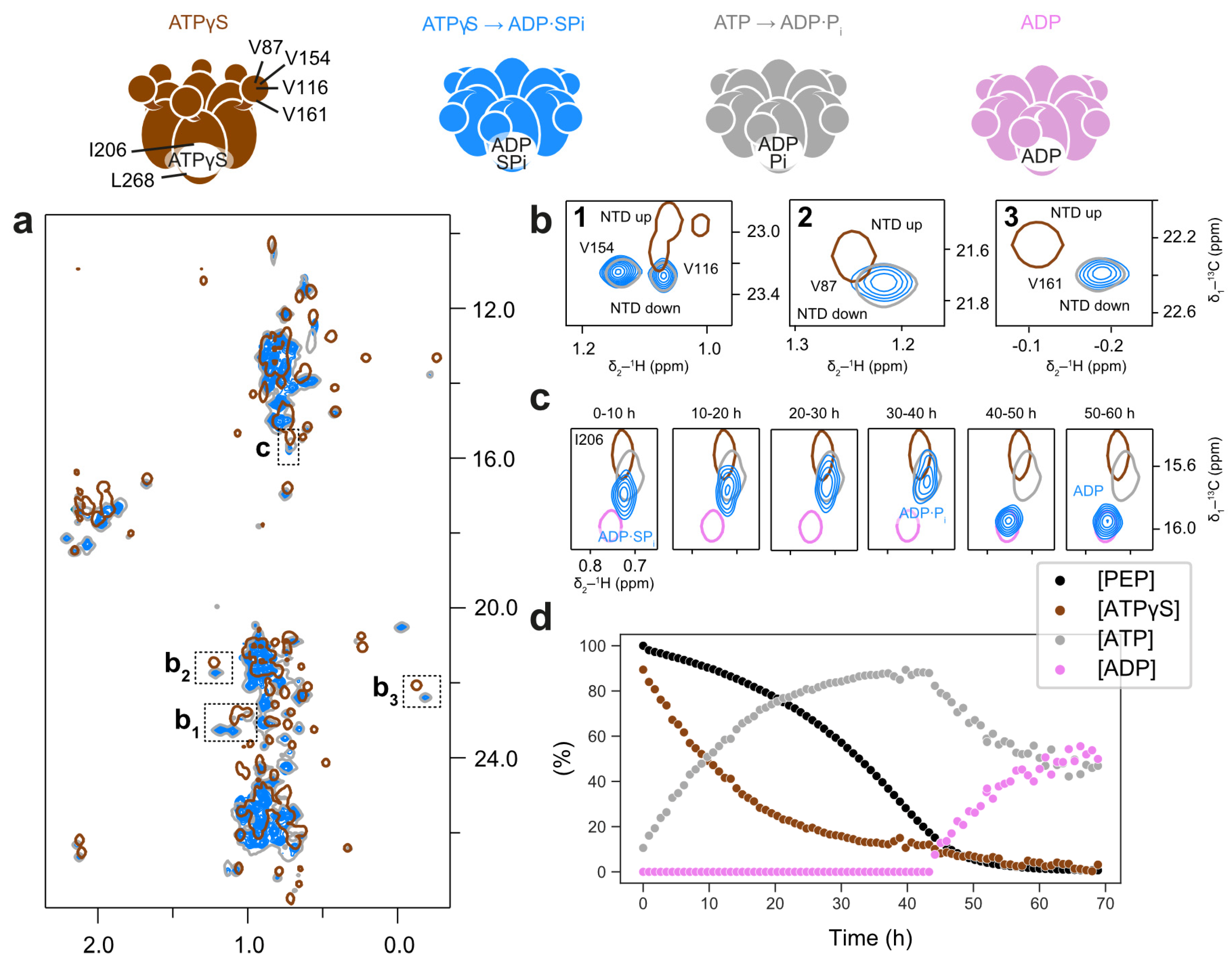 Biophysica 05 00009 g005 Biophysica 05 00009 g005
