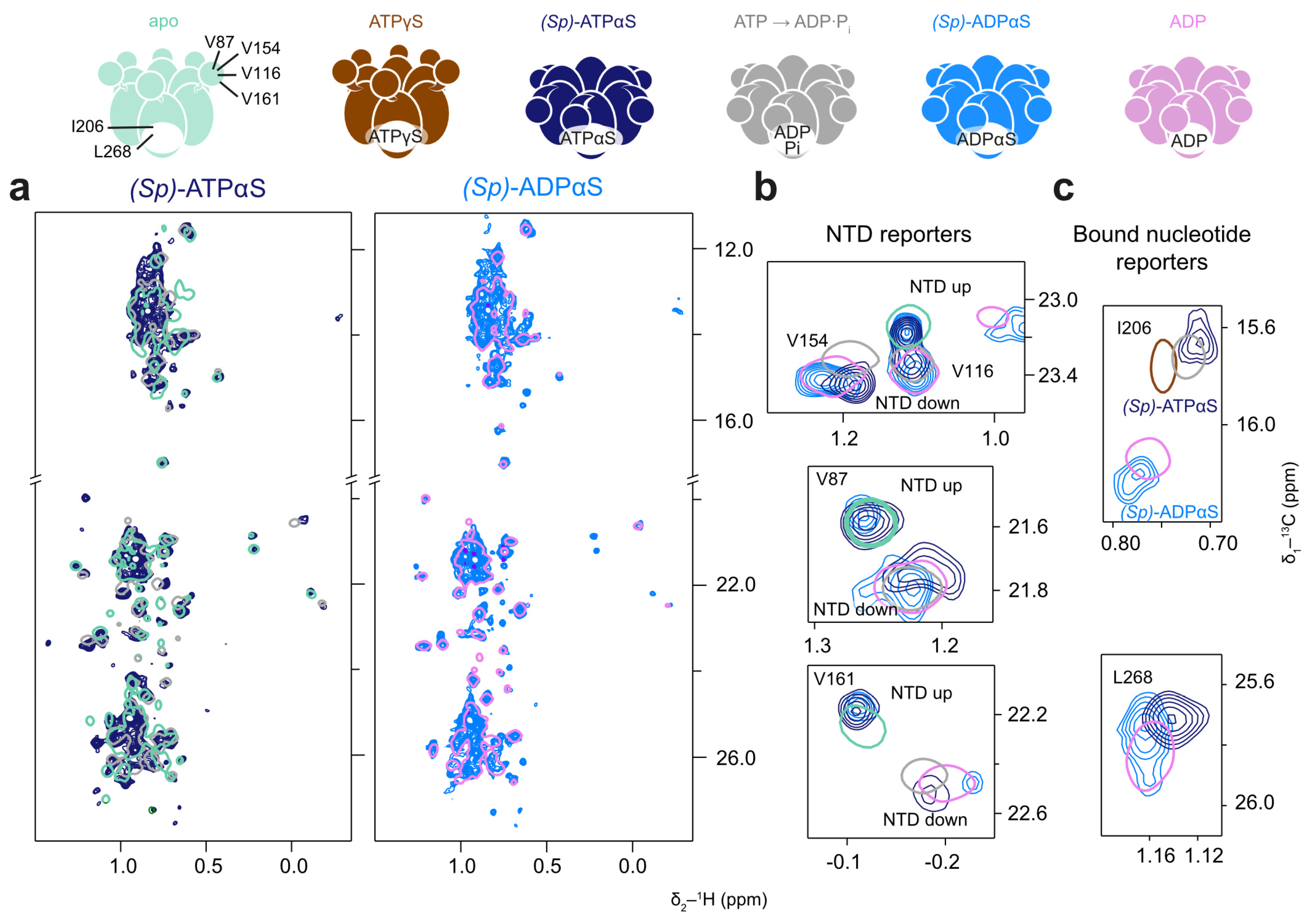 Biophysica 05 00009 g006 Biophysica 05 00009 g006