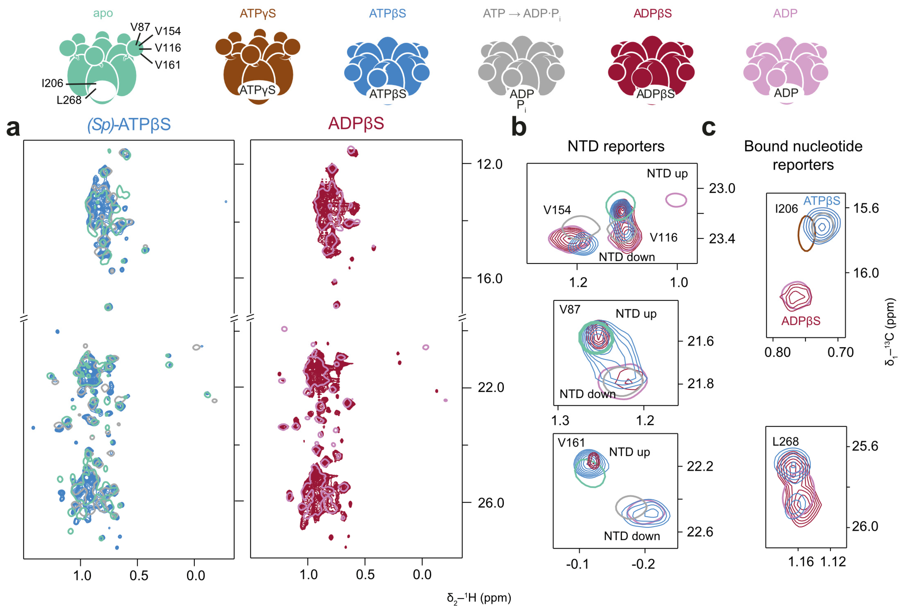 Biophysica 05 00009 g007 Biophysica 05 00009 g007