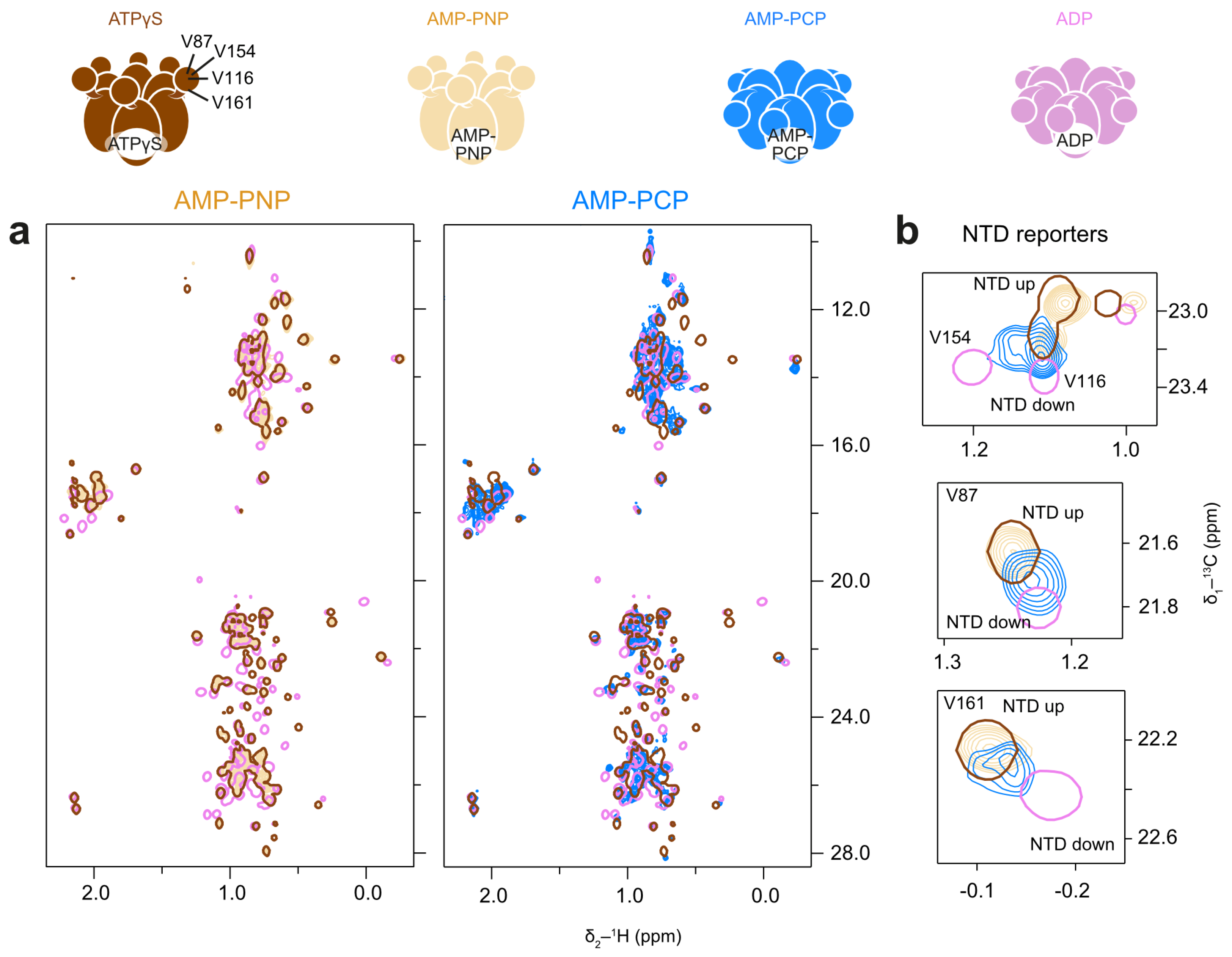 Biophysica 05 00009 g008 Biophysica 05 00009 g008