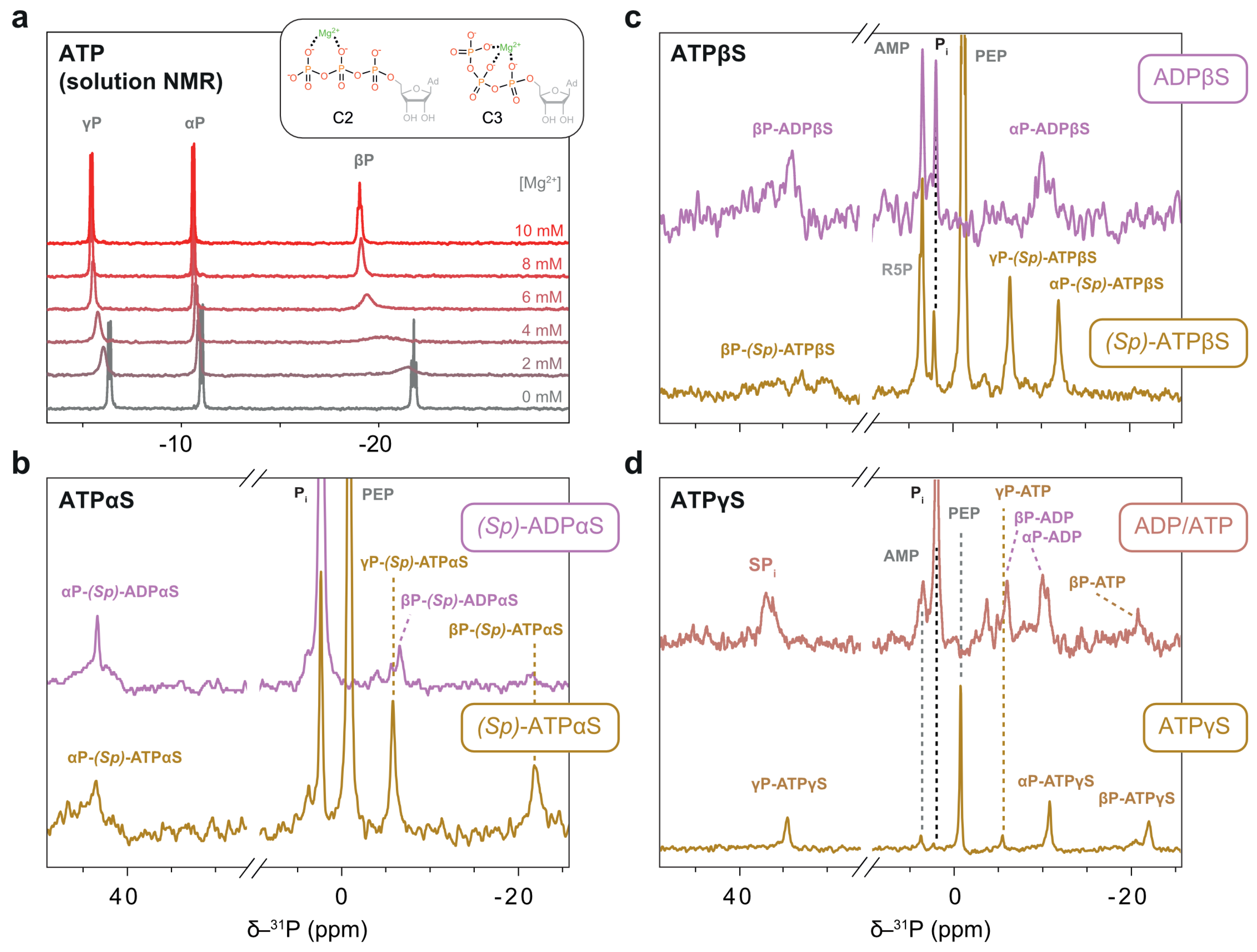 Biophysica 05 00009 g009 Biophysica 05 00009 g009