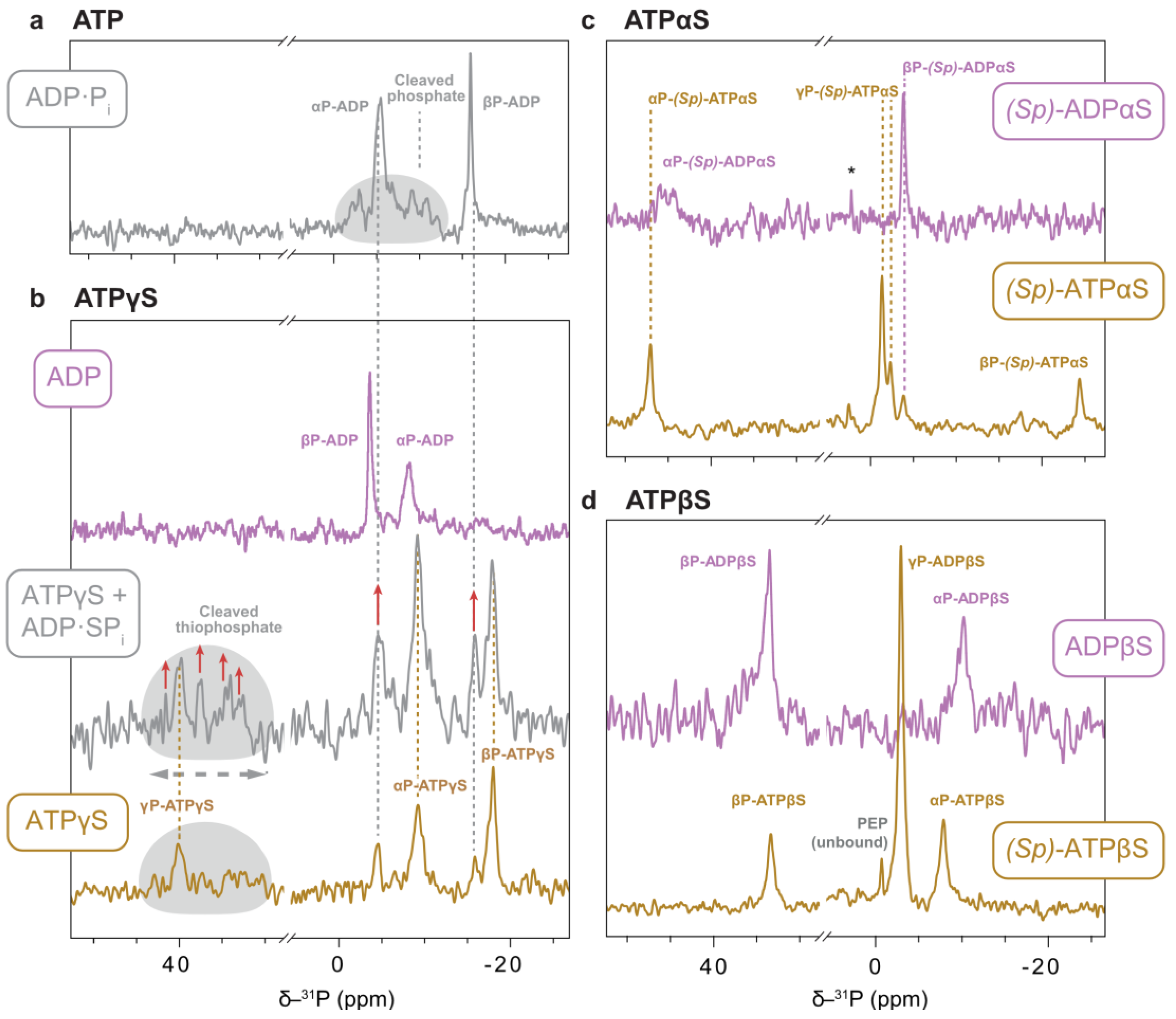 Biophysica 05 00009 g010 Biophysica 05 00009 g010