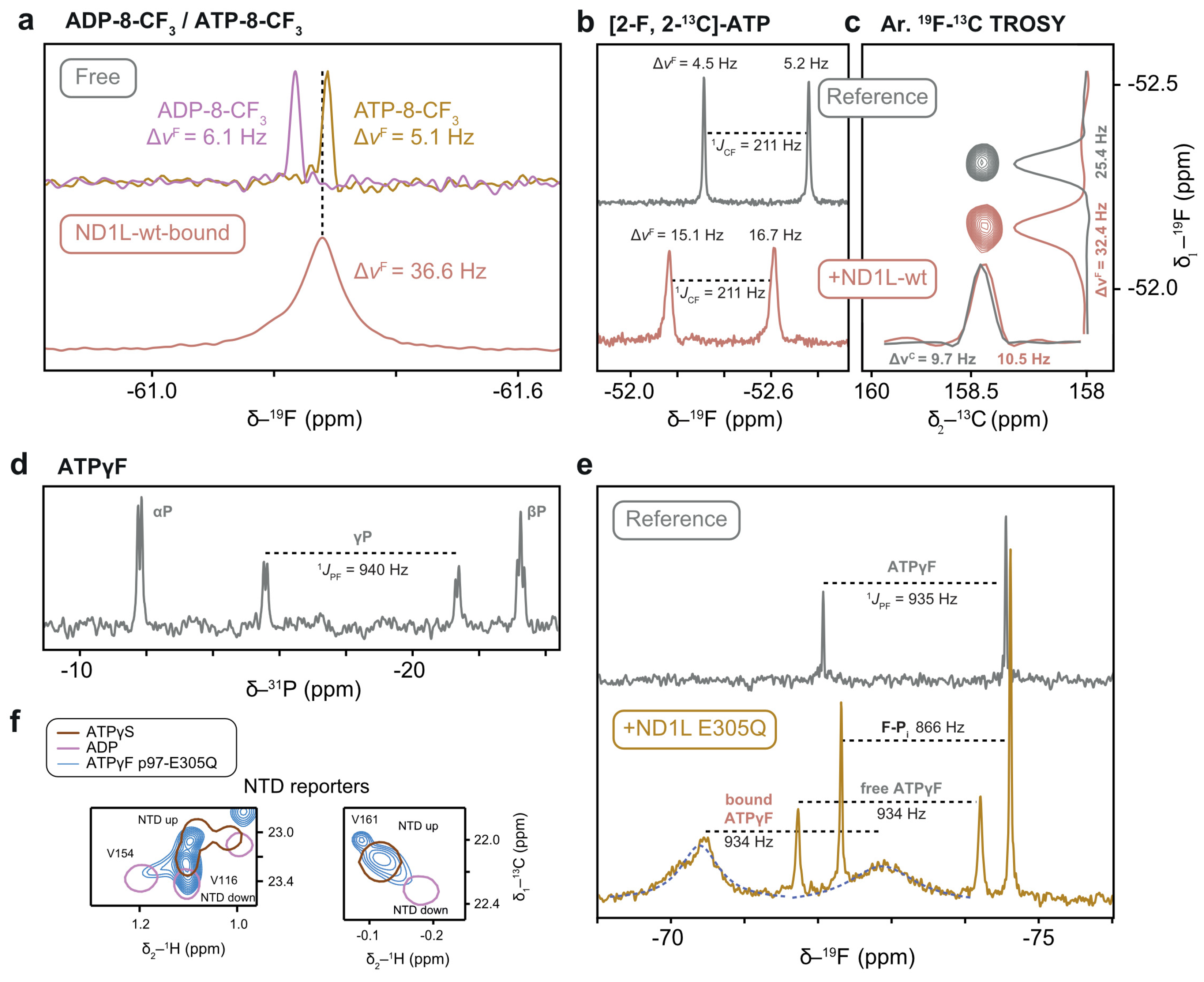 Biophysica 05 00009 g011 Biophysica 05 00009 g011
