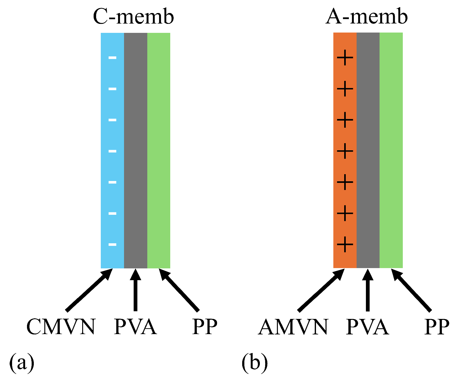 Biophysica 05 00010 g001