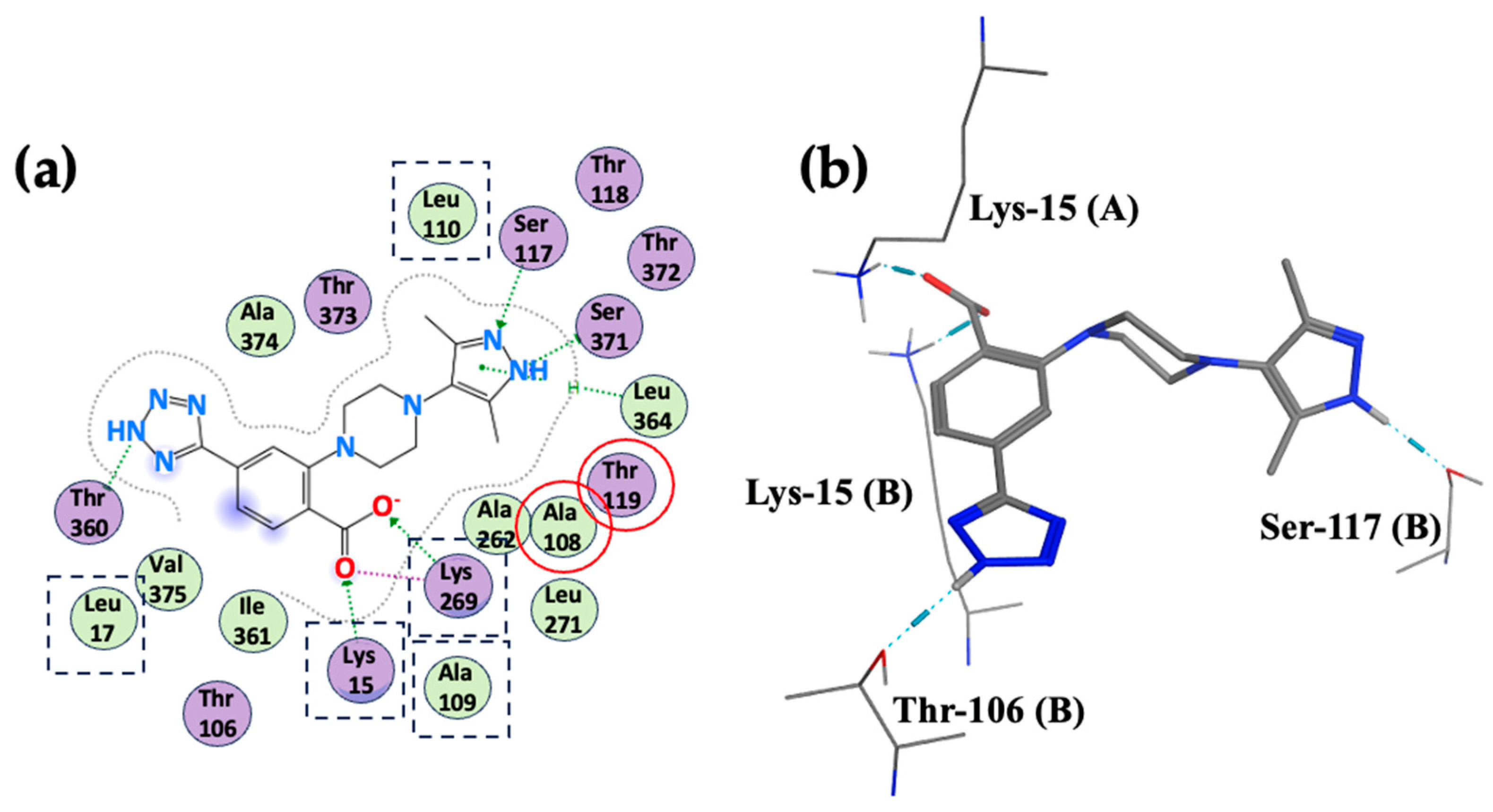 Biophysica 05 00016 g006