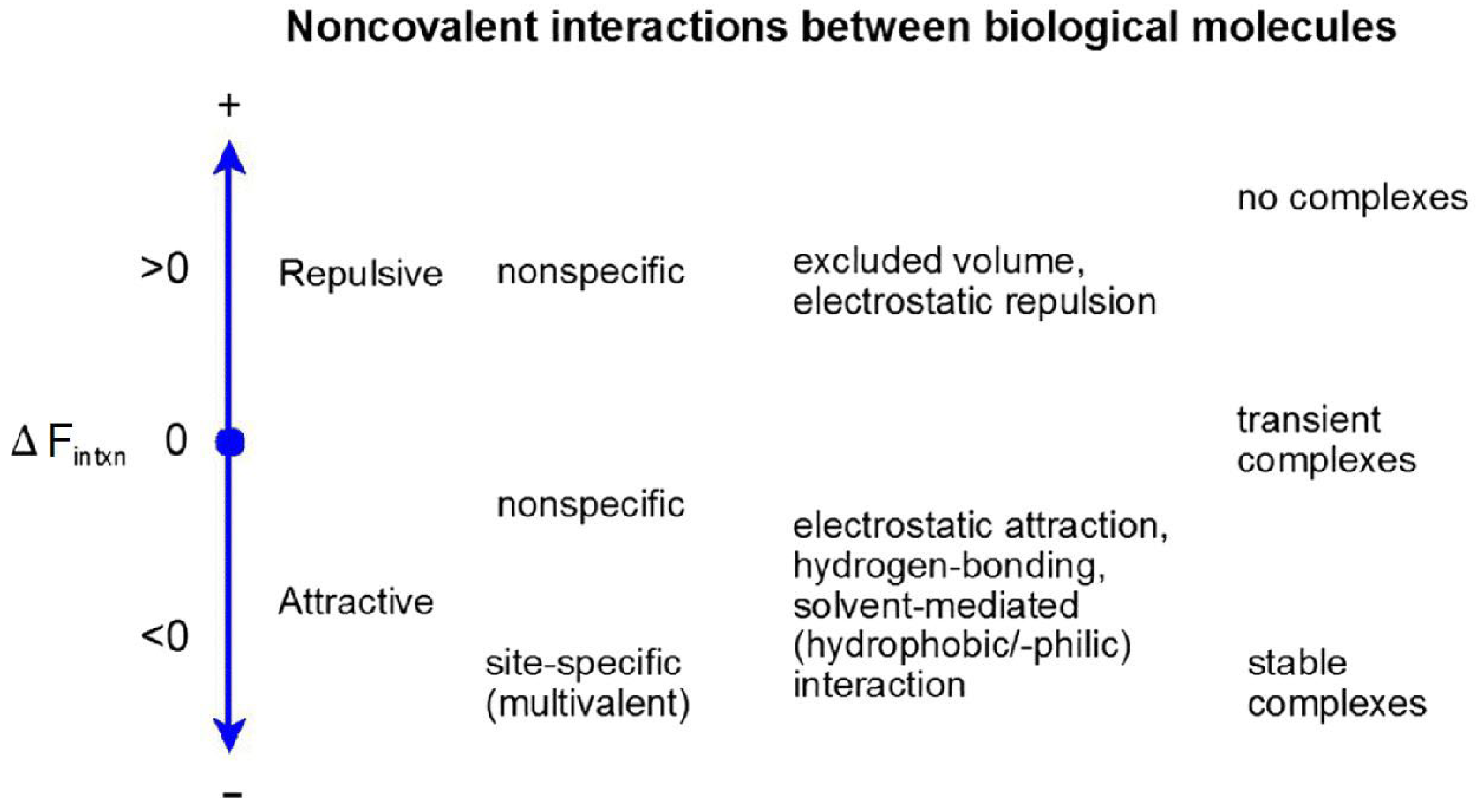 Biophysica 05 00025 g001