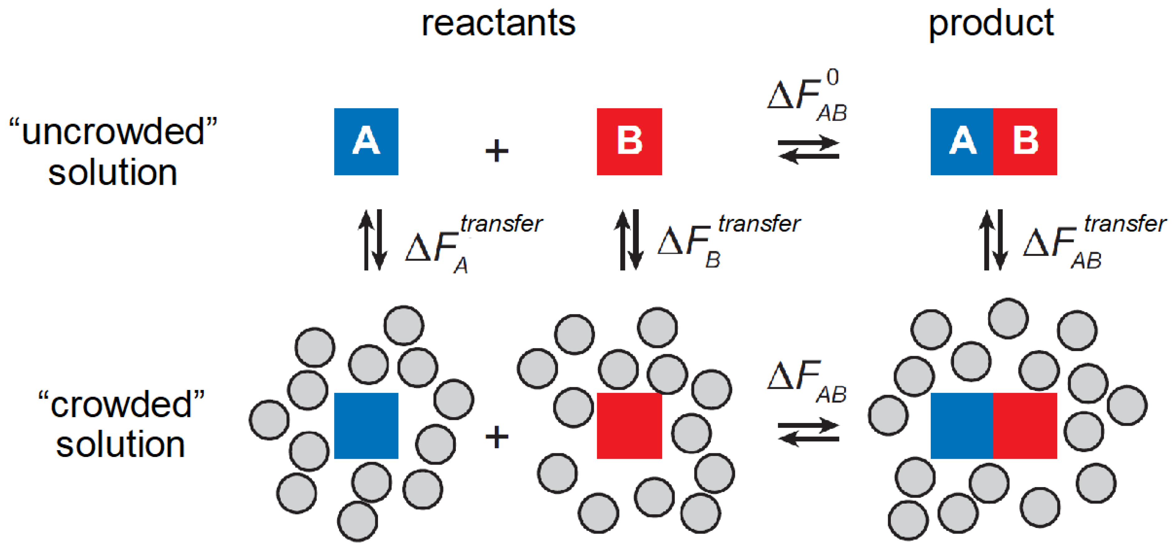 Biophysica 05 00025 g002