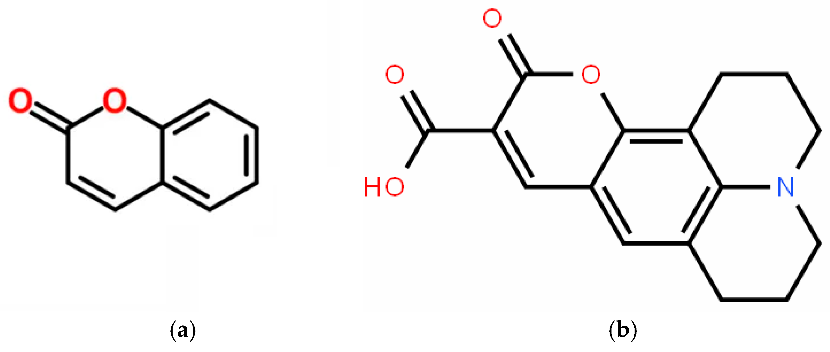 Biophysica 05 00027 g002 Biophysica 05 00027 g002