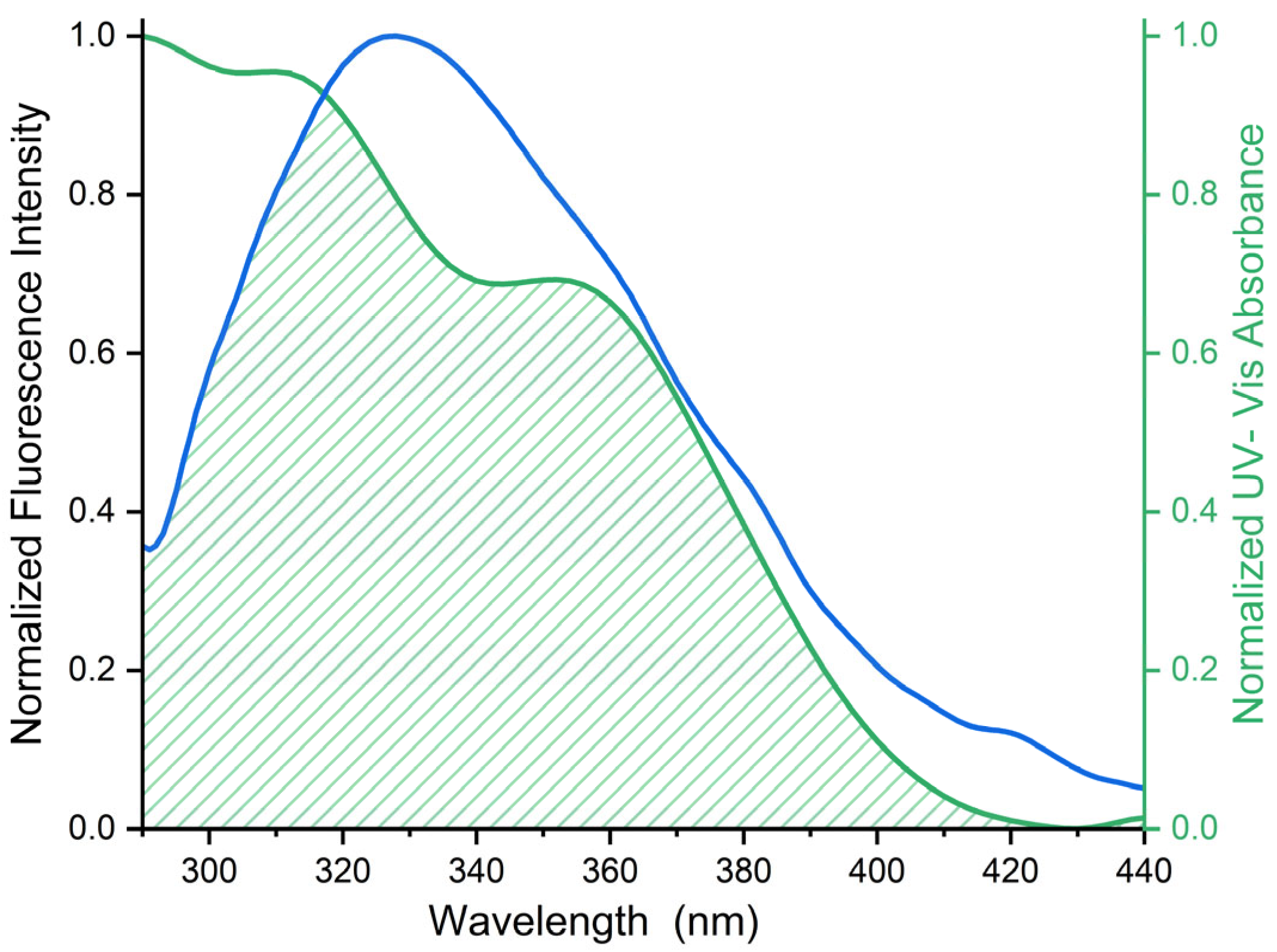 Biophysica 05 00032 g004