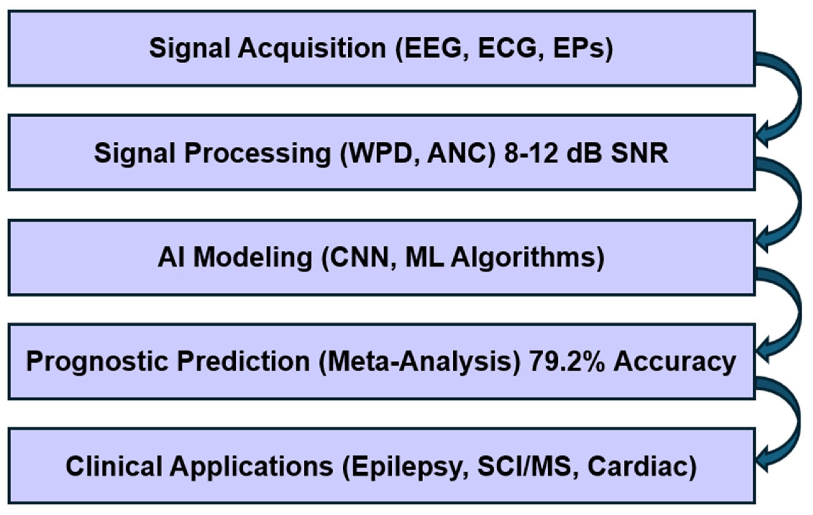 Biophysica 05 00040 g001
