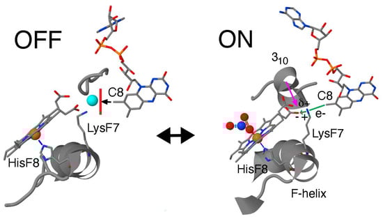 Biophysica 05 00041 g004