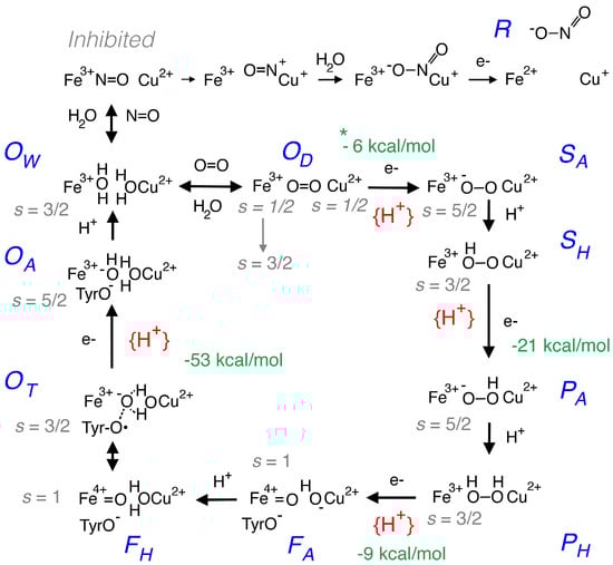 Biophysica 05 00041 g005