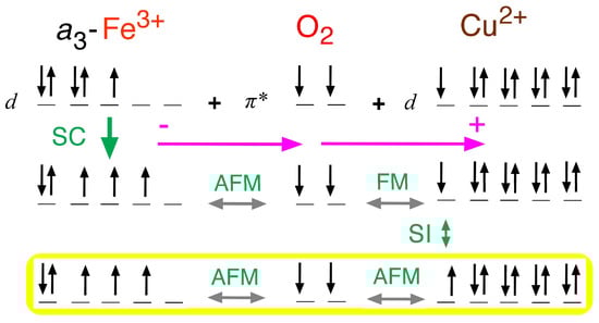 Biophysica 05 00041 g006