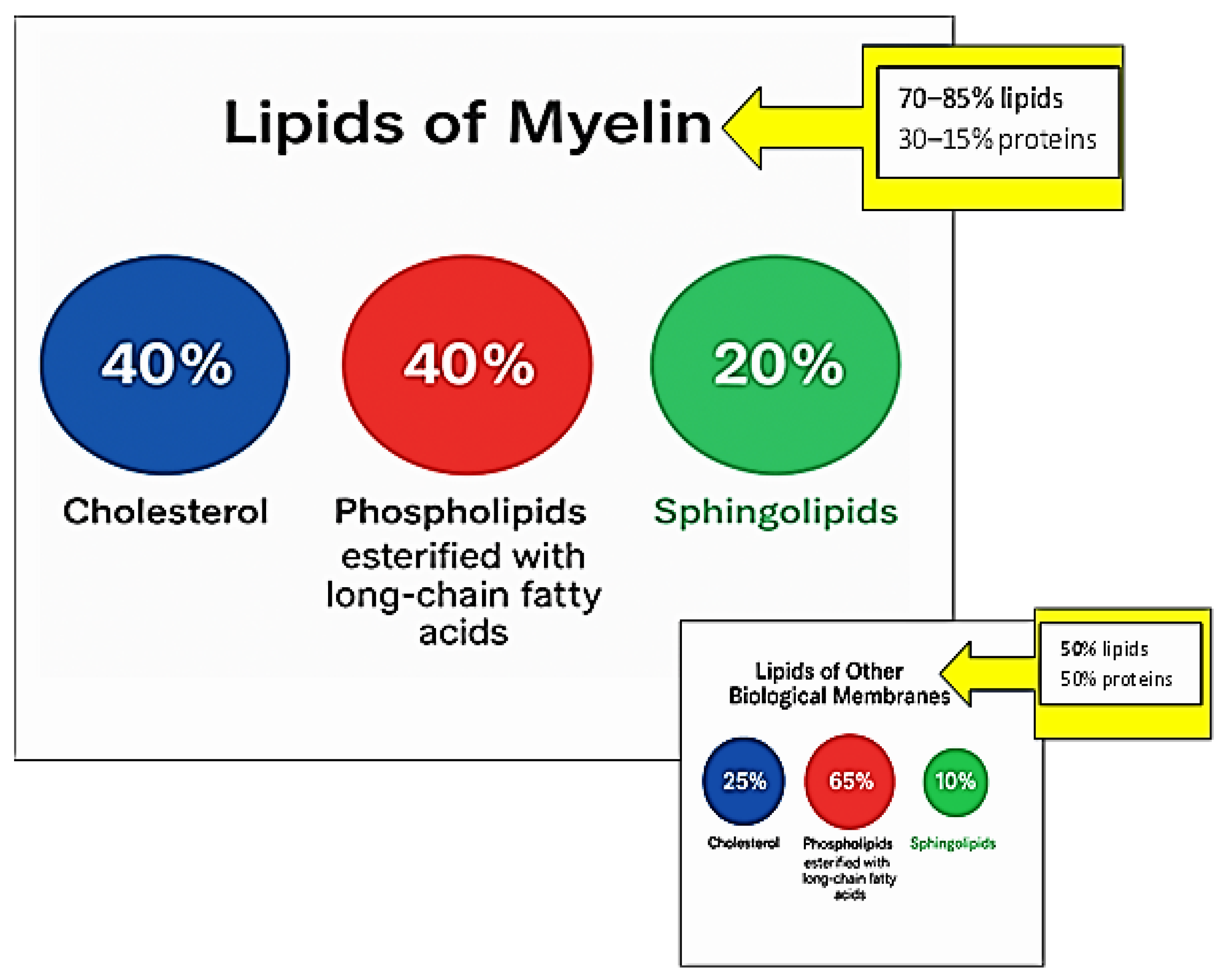 Biophysica 05 00044 g002 Biophysica 05 00044 g002
