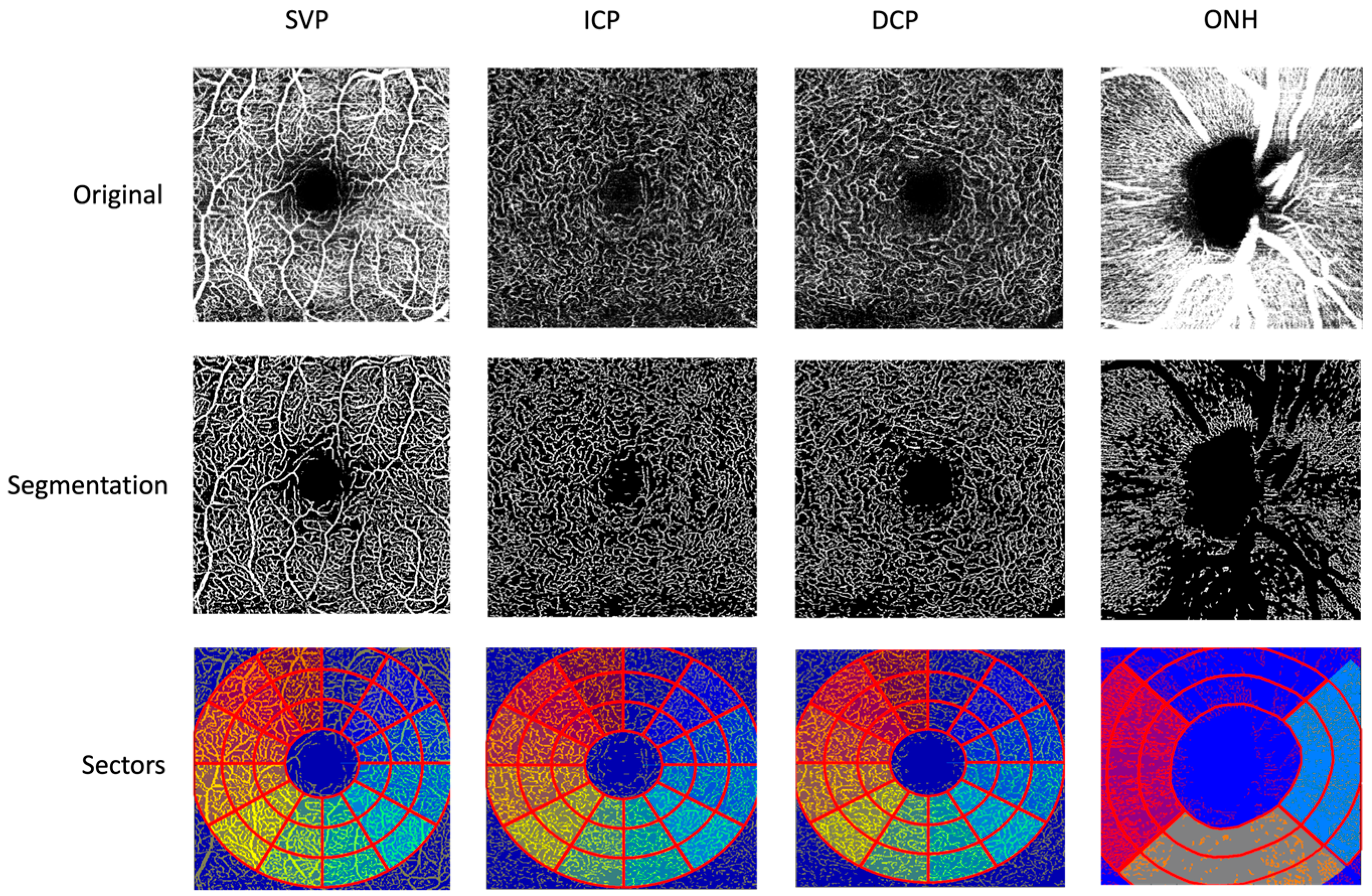 Biophysica 05 00046 g001