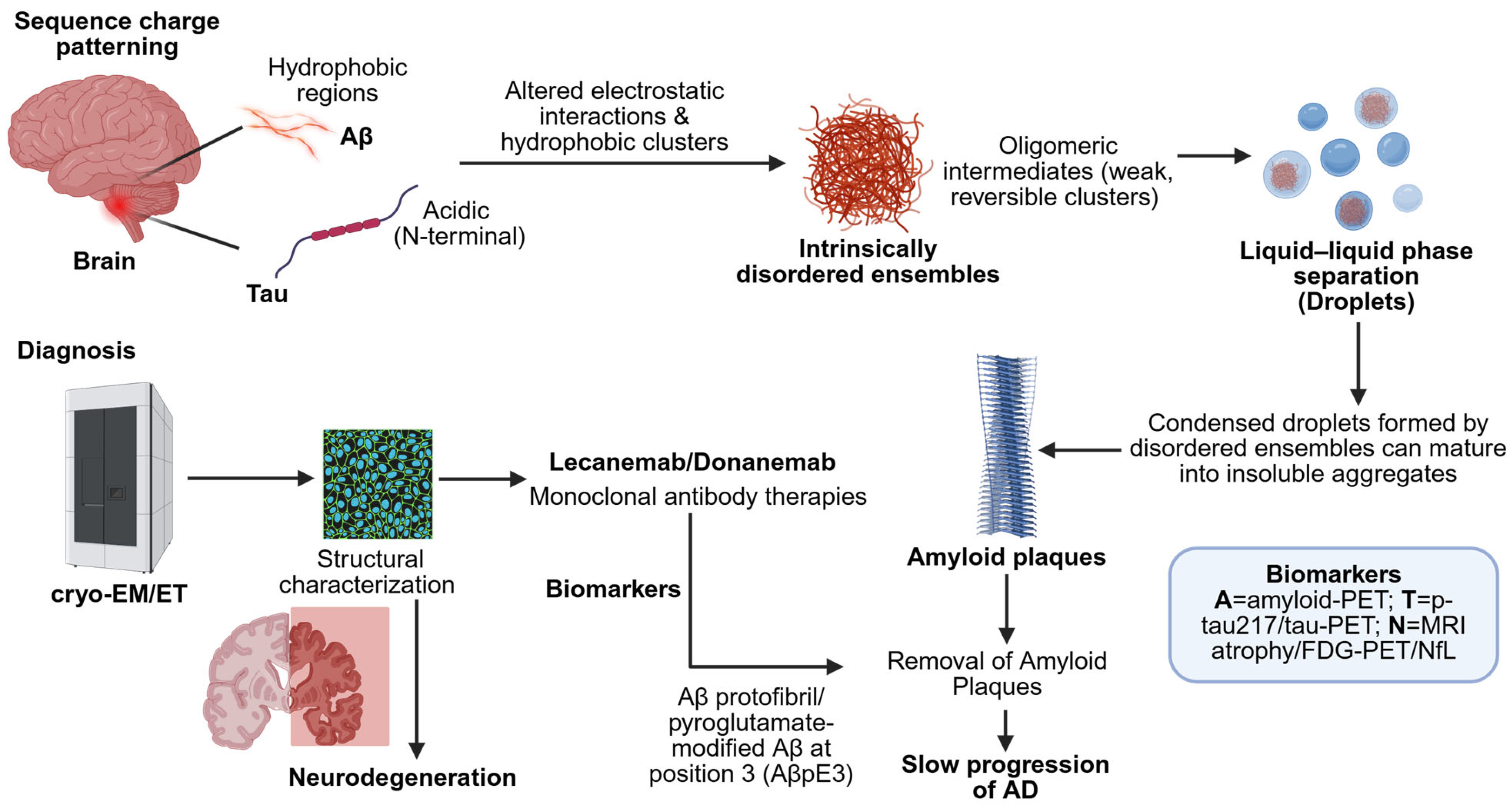 Biophysica 05 00052 g001