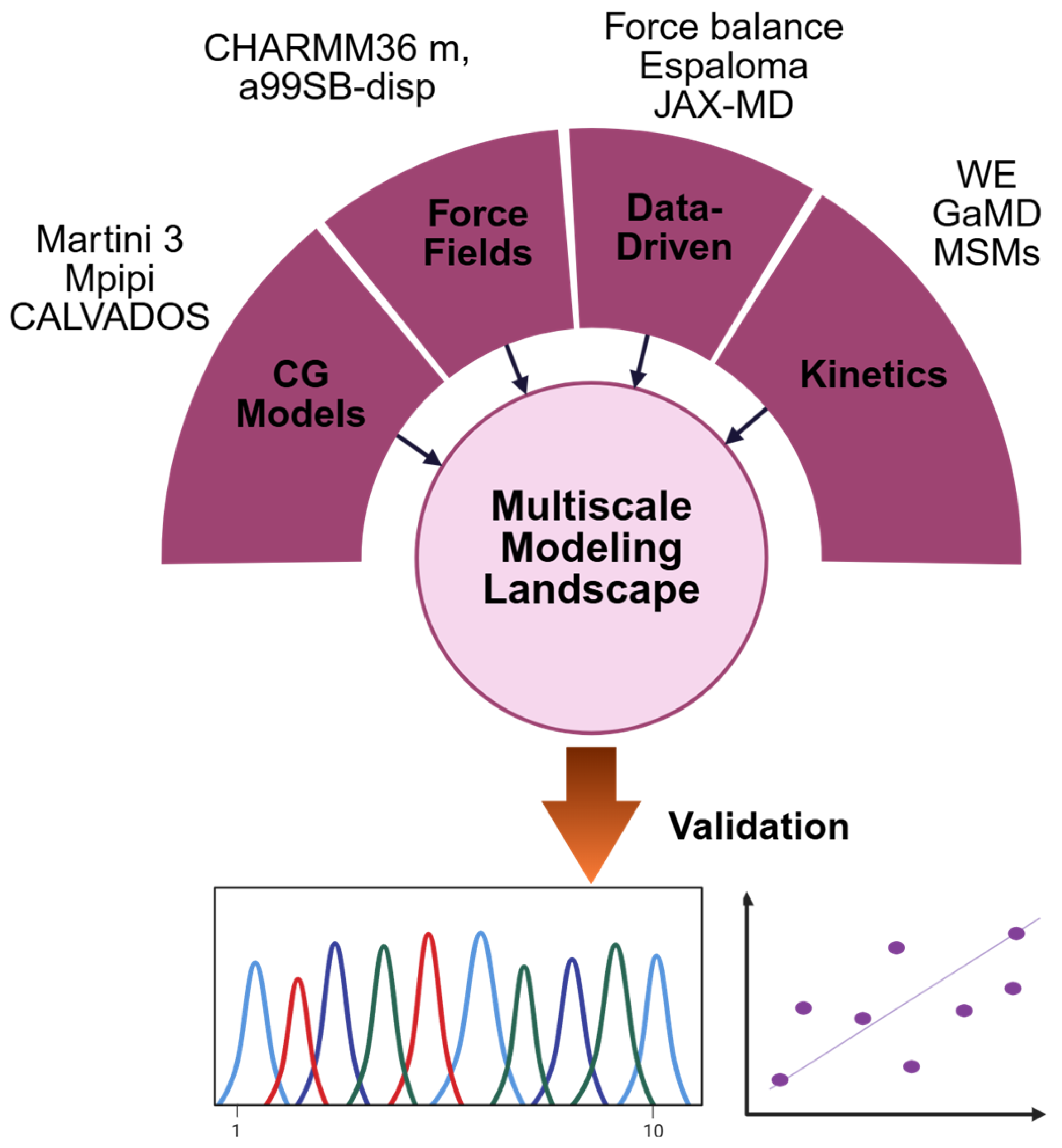 Biophysica 05 00052 g004