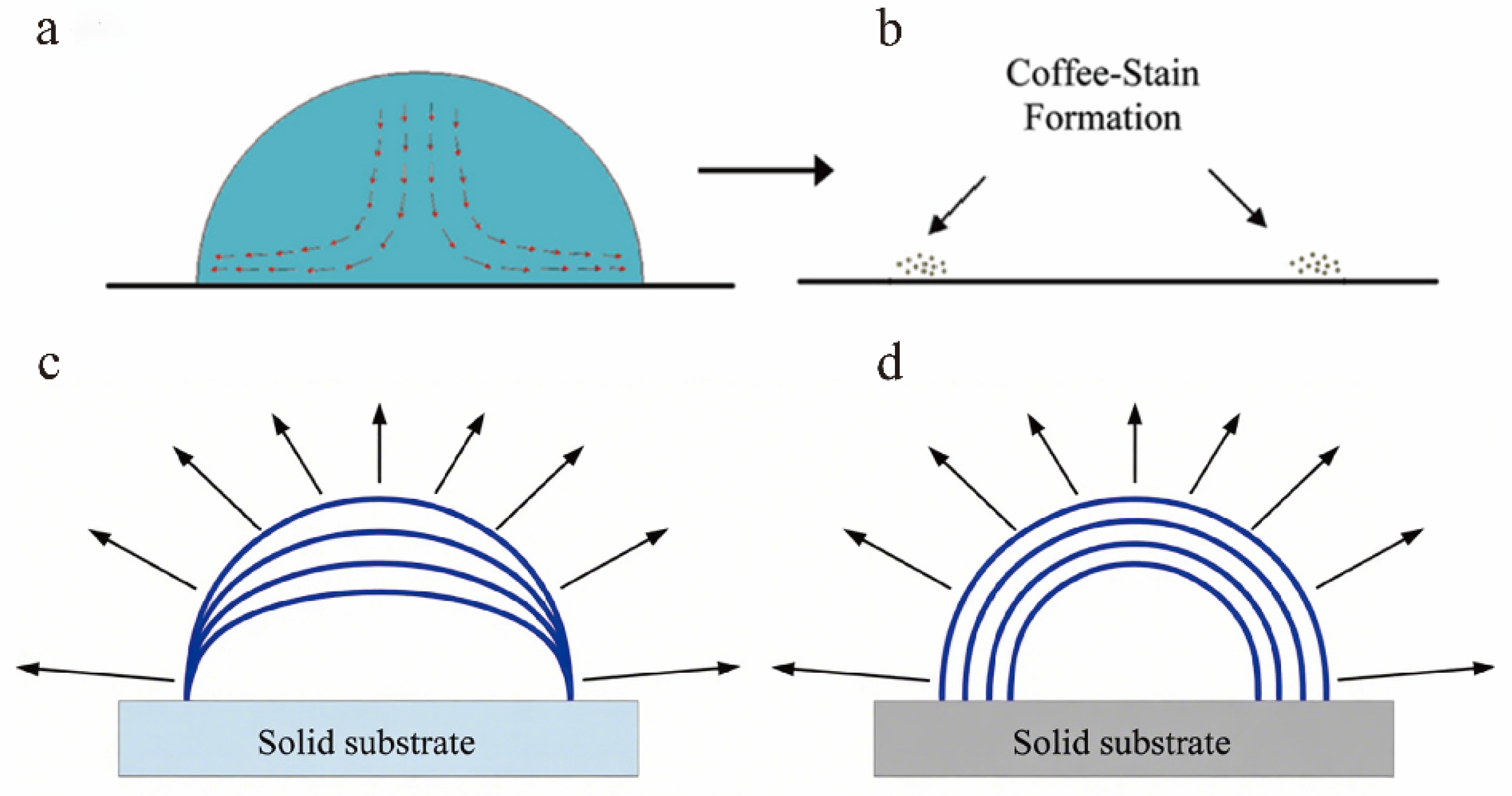 Biophysica 05 00057 g001