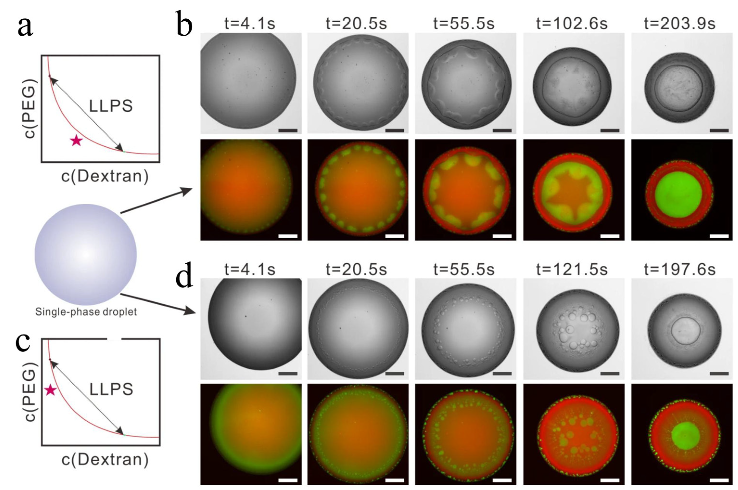 Biophysica 05 00057 g002