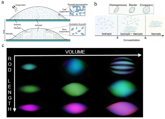 Biophysica 05 00057 g004