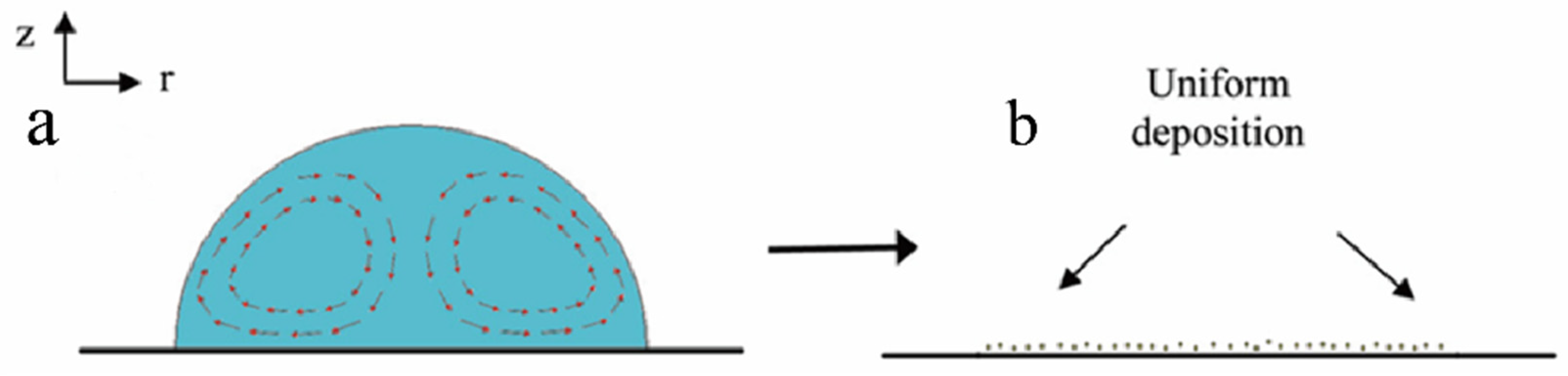 Biophysica 05 00057 g005