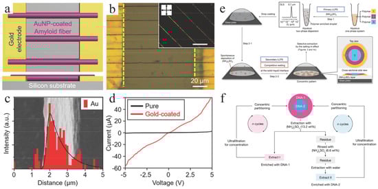 Biophysica 05 00057 g008