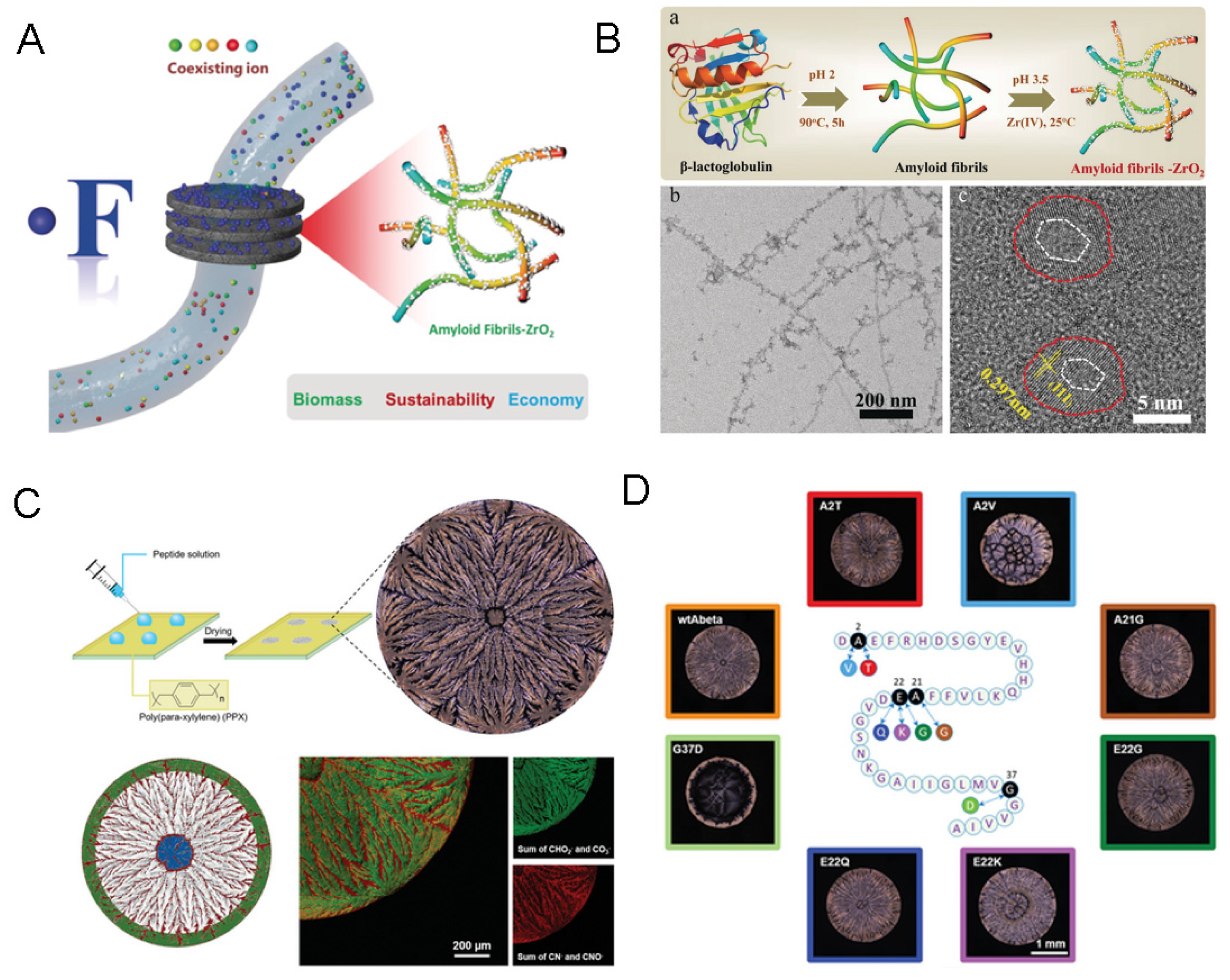 Biophysica 05 00057 g010