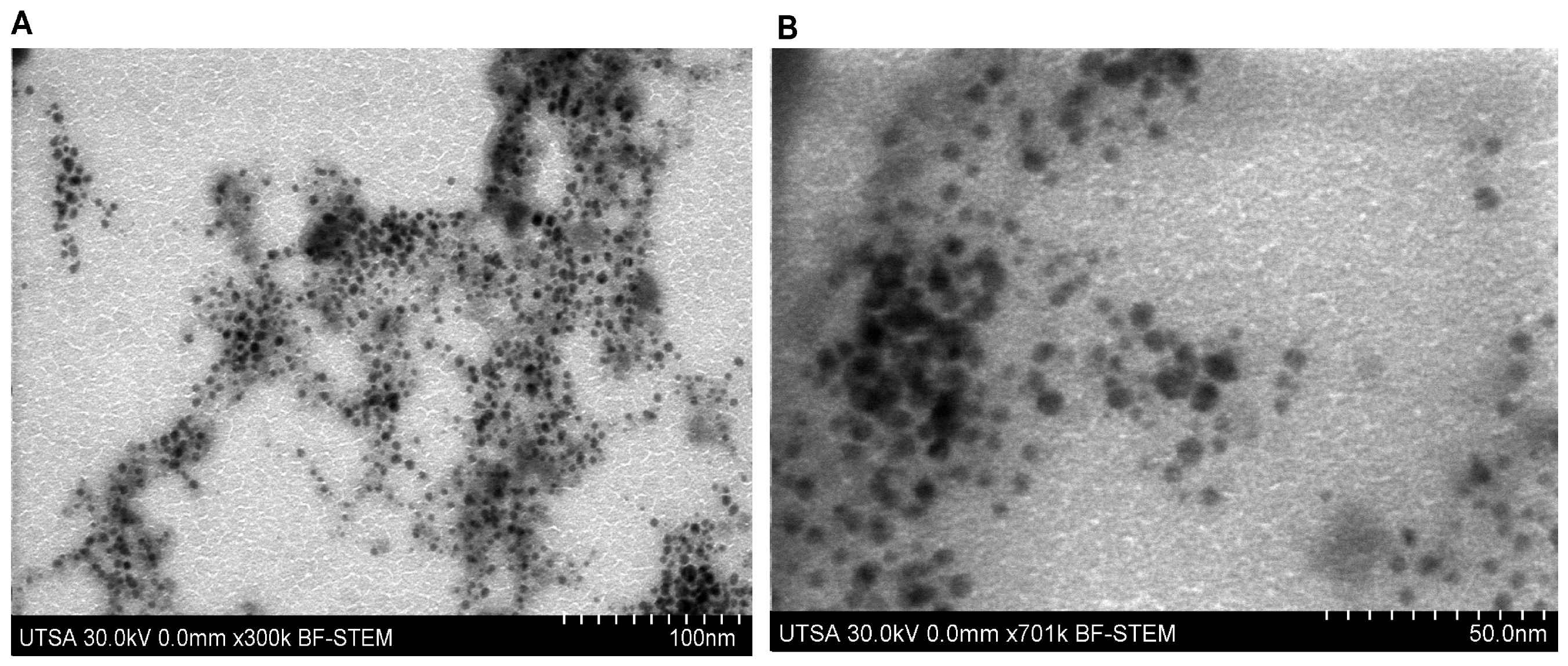 Biophysica 06 00009 g004 Biophysica 06 00009 g004