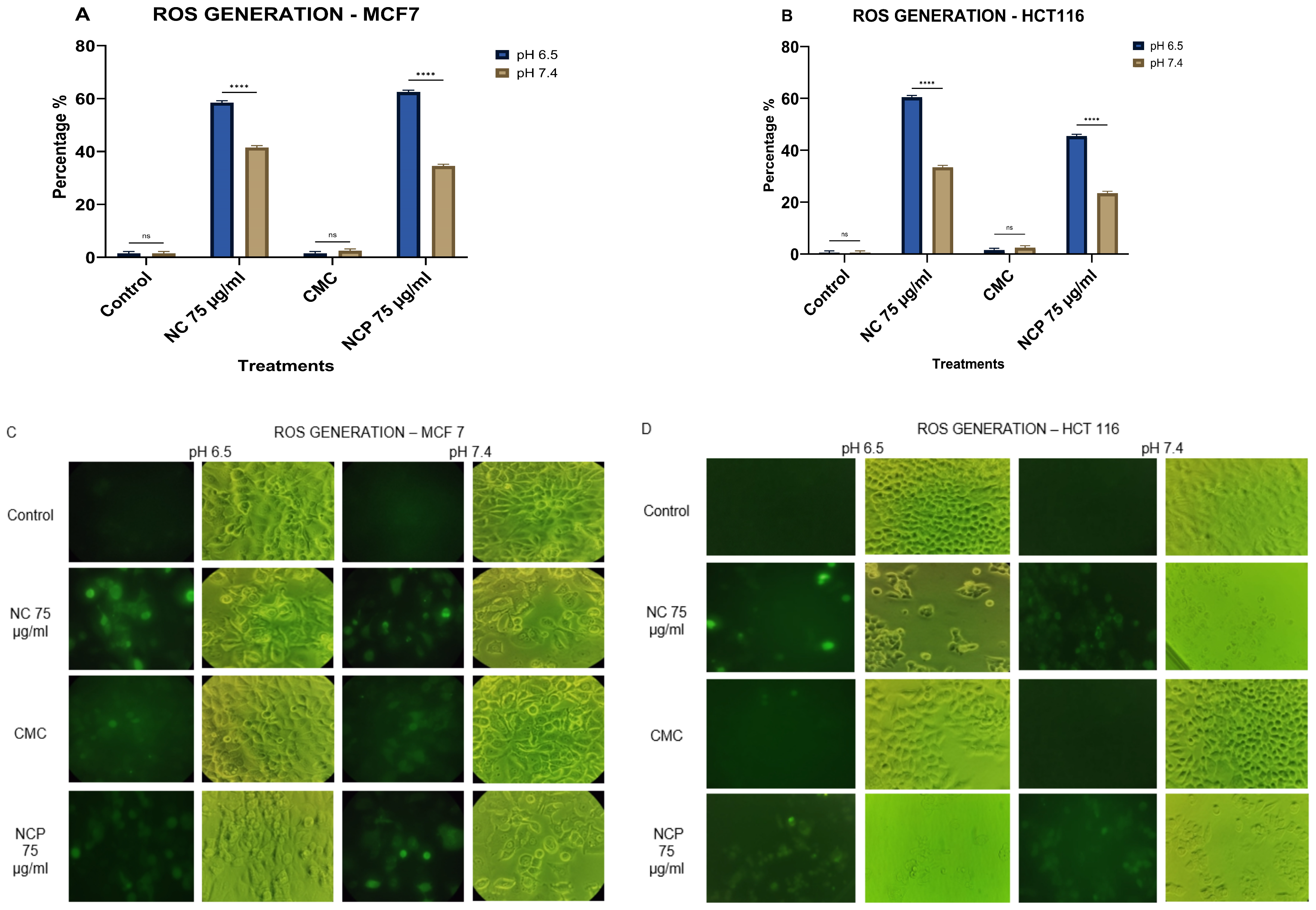 Biophysica 06 00009 g011 Biophysica 06 00009 g011