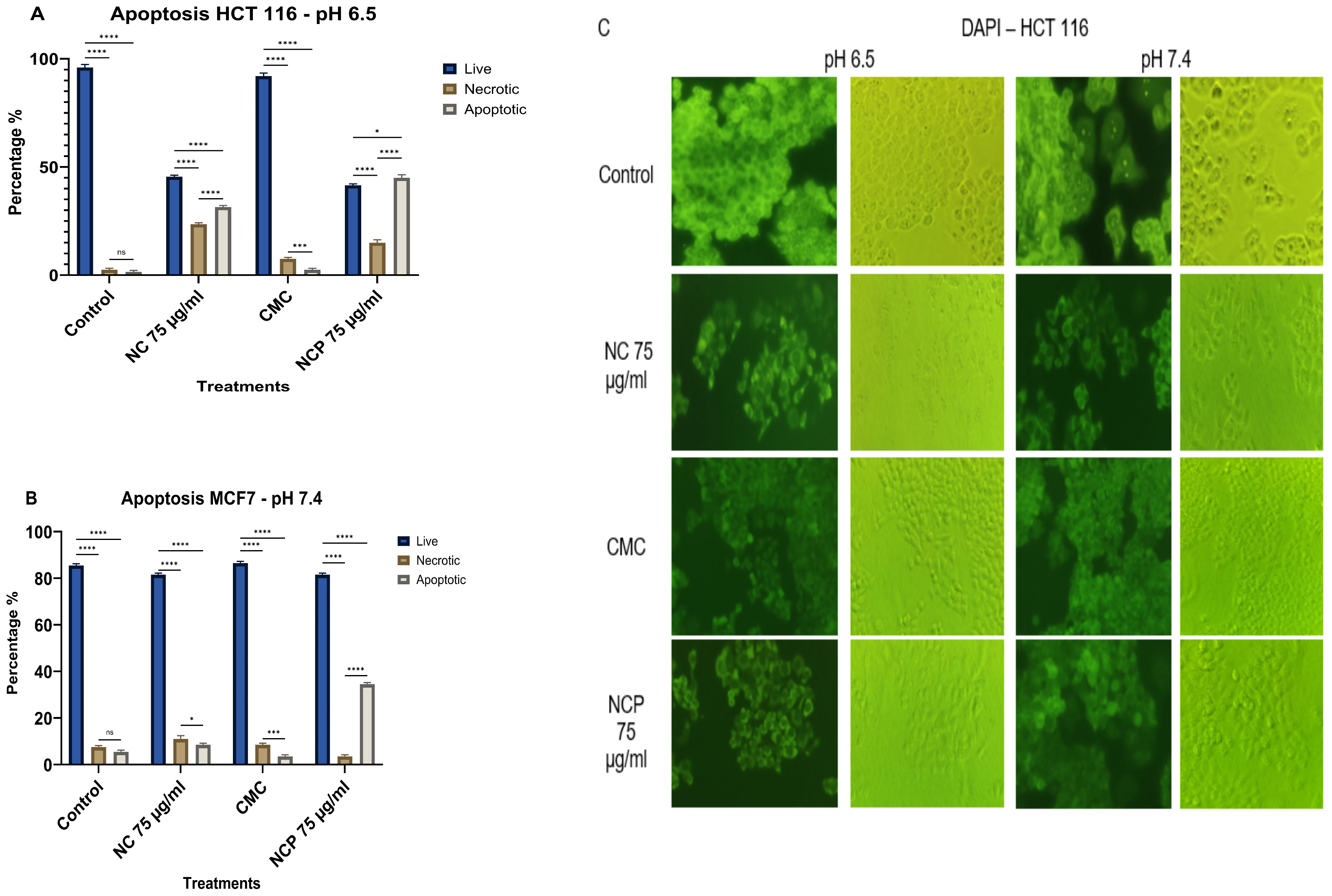 Biophysica 06 00009 g013 Biophysica 06 00009 g013