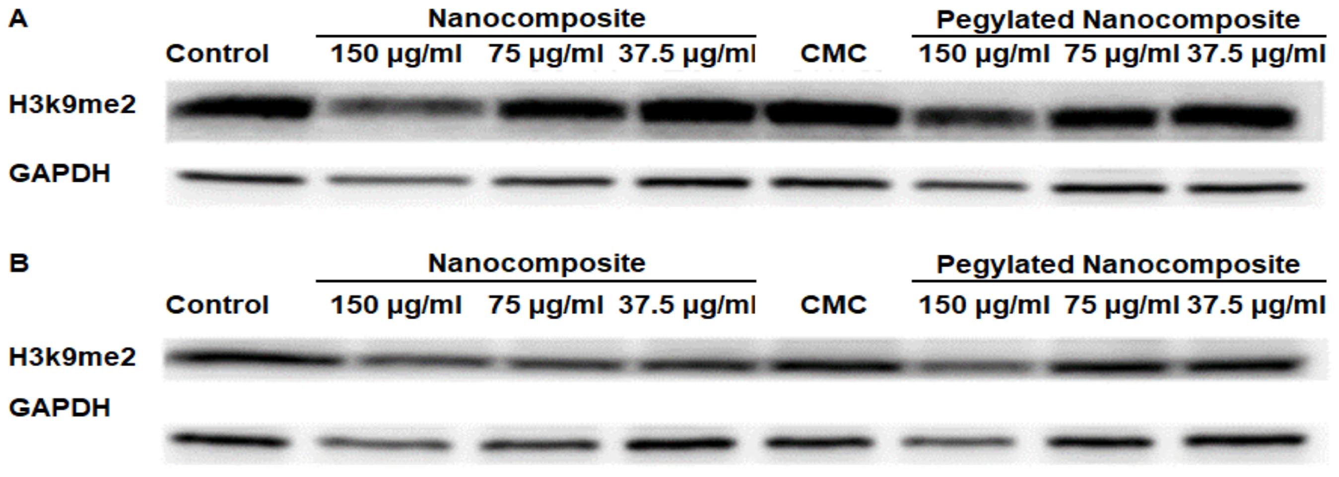 Biophysica 06 00009 g014 Biophysica 06 00009 g014