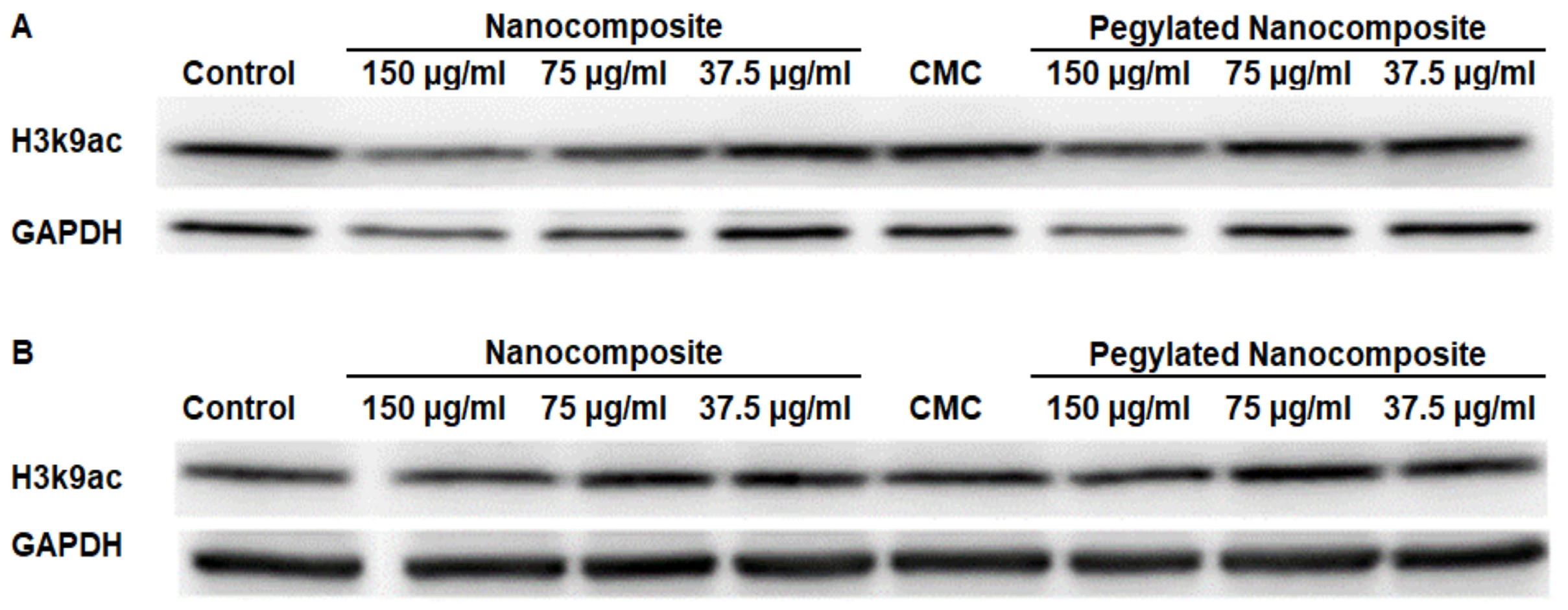 Biophysica 06 00009 g015 Biophysica 06 00009 g015
