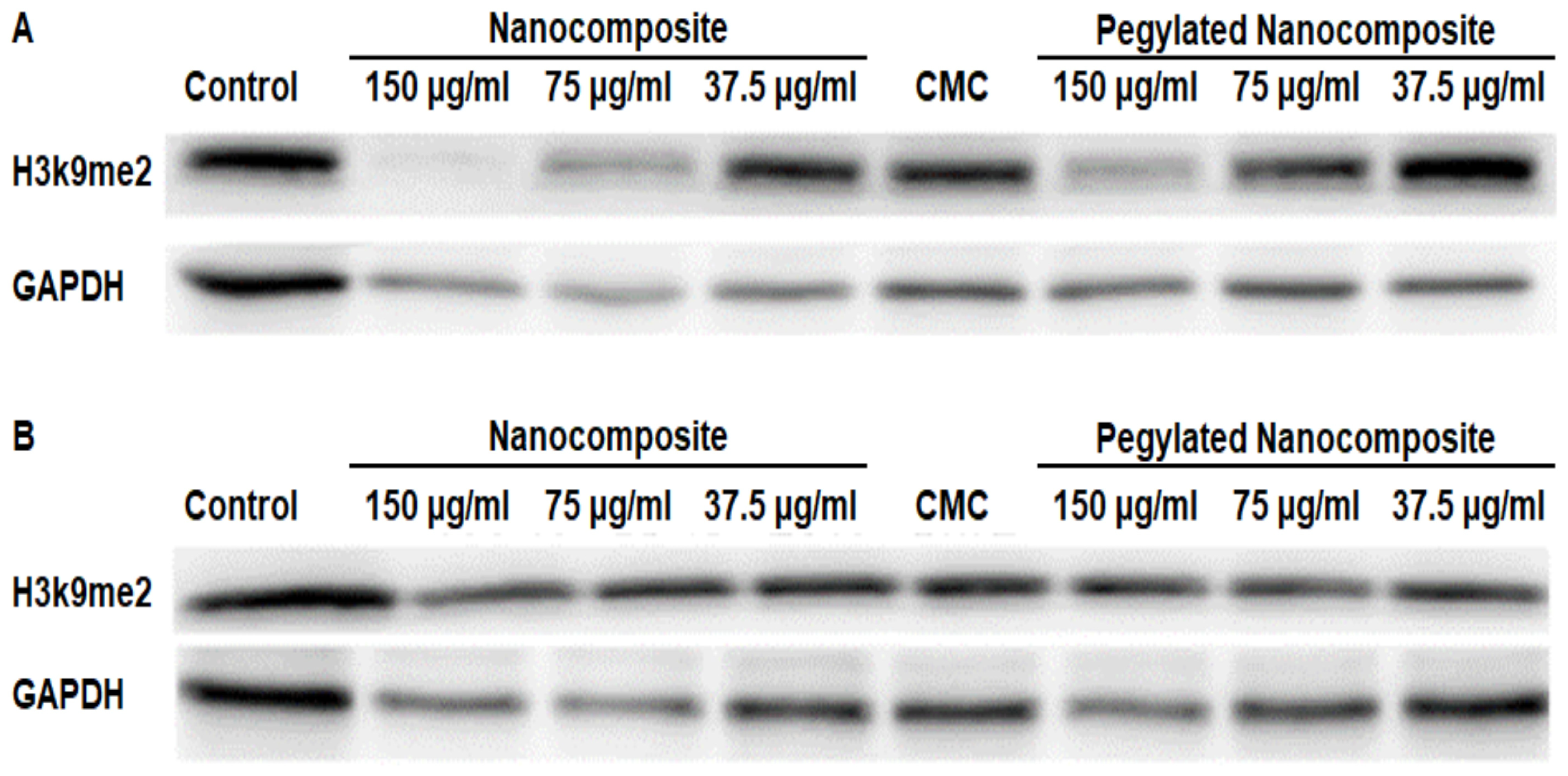 Biophysica 06 00009 g016 Biophysica 06 00009 g016