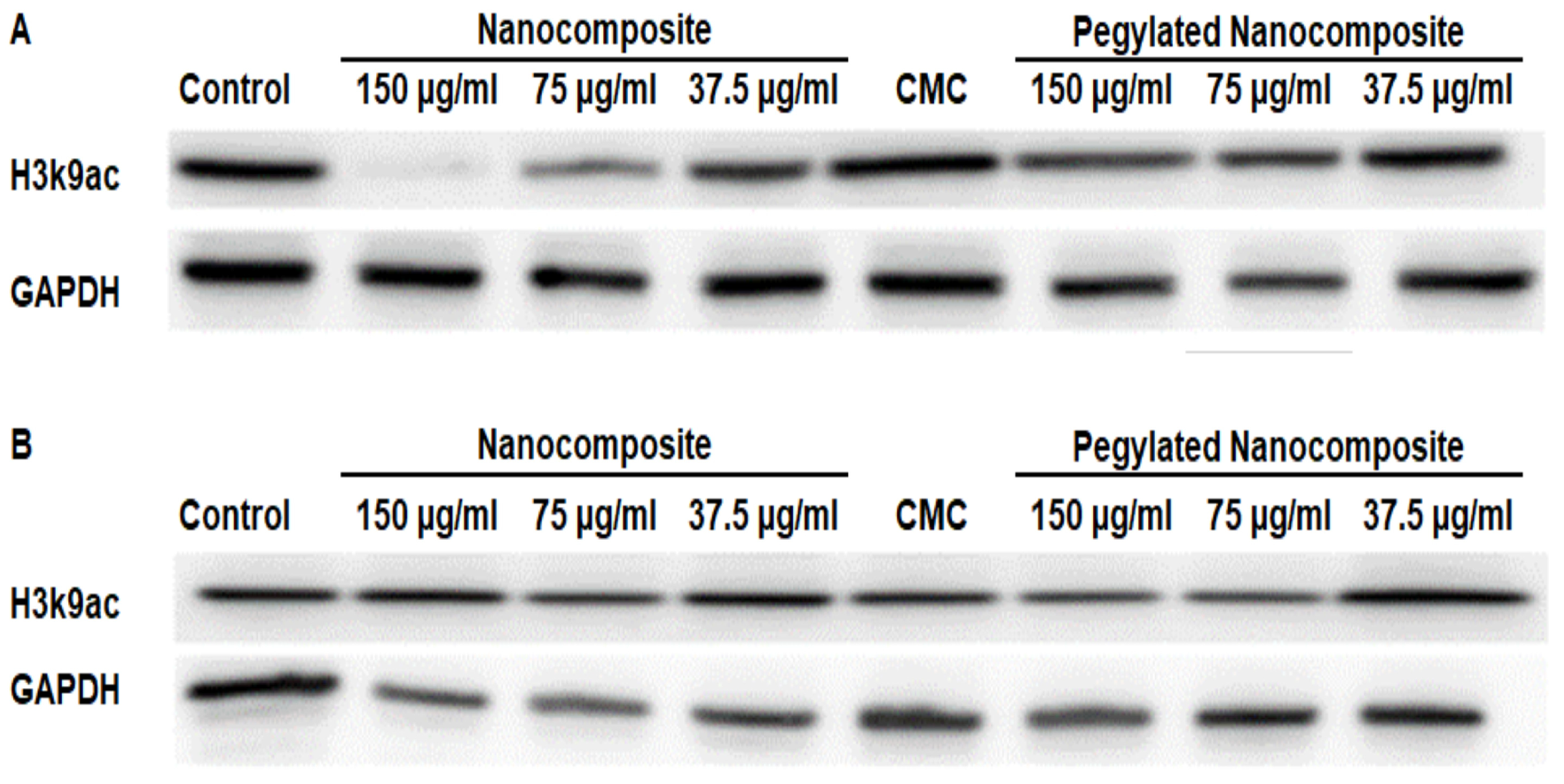 Biophysica 06 00009 g017 Biophysica 06 00009 g017
