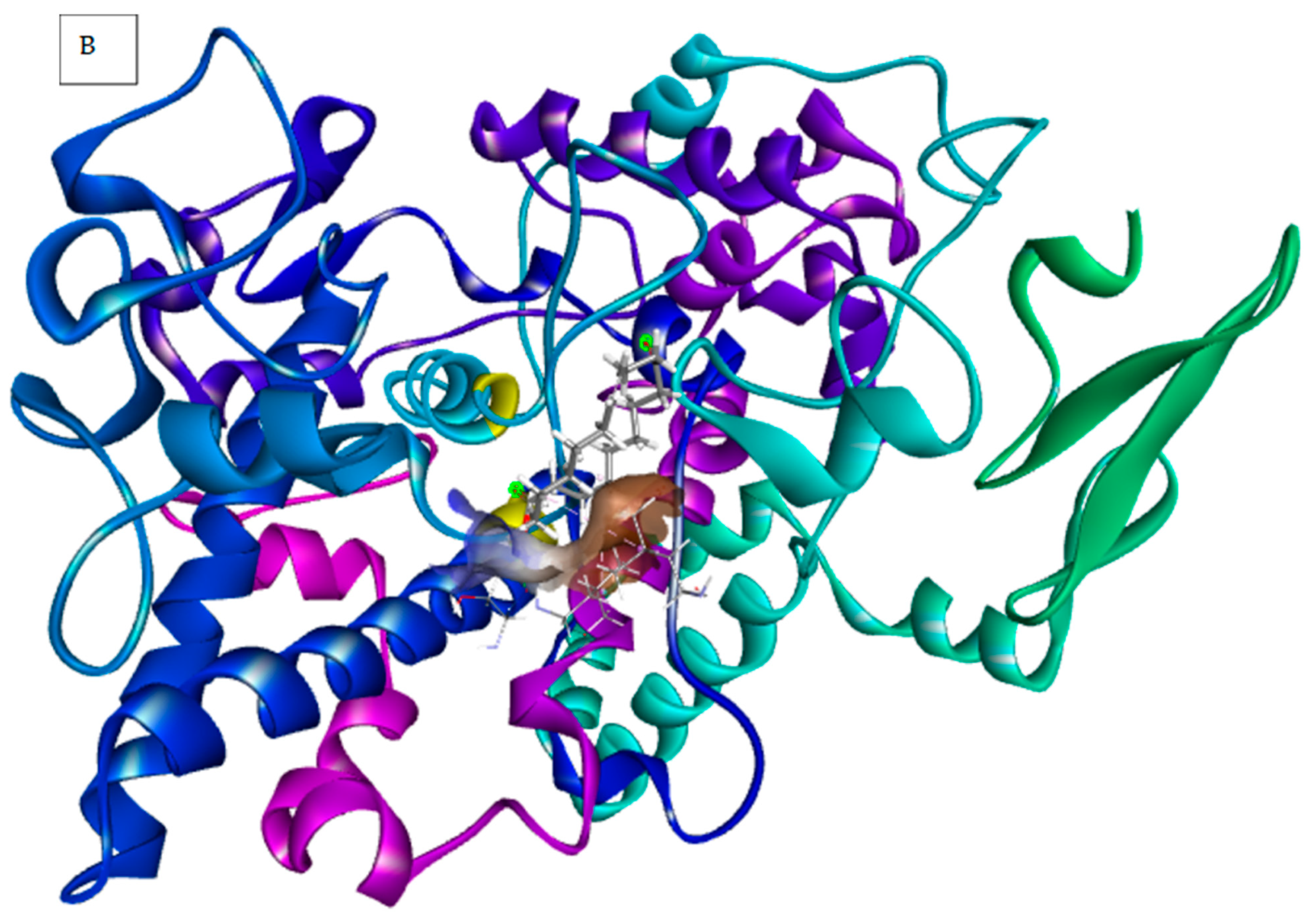 Biophysica 06 00048 g002b Biophysica 06 00048 g002b