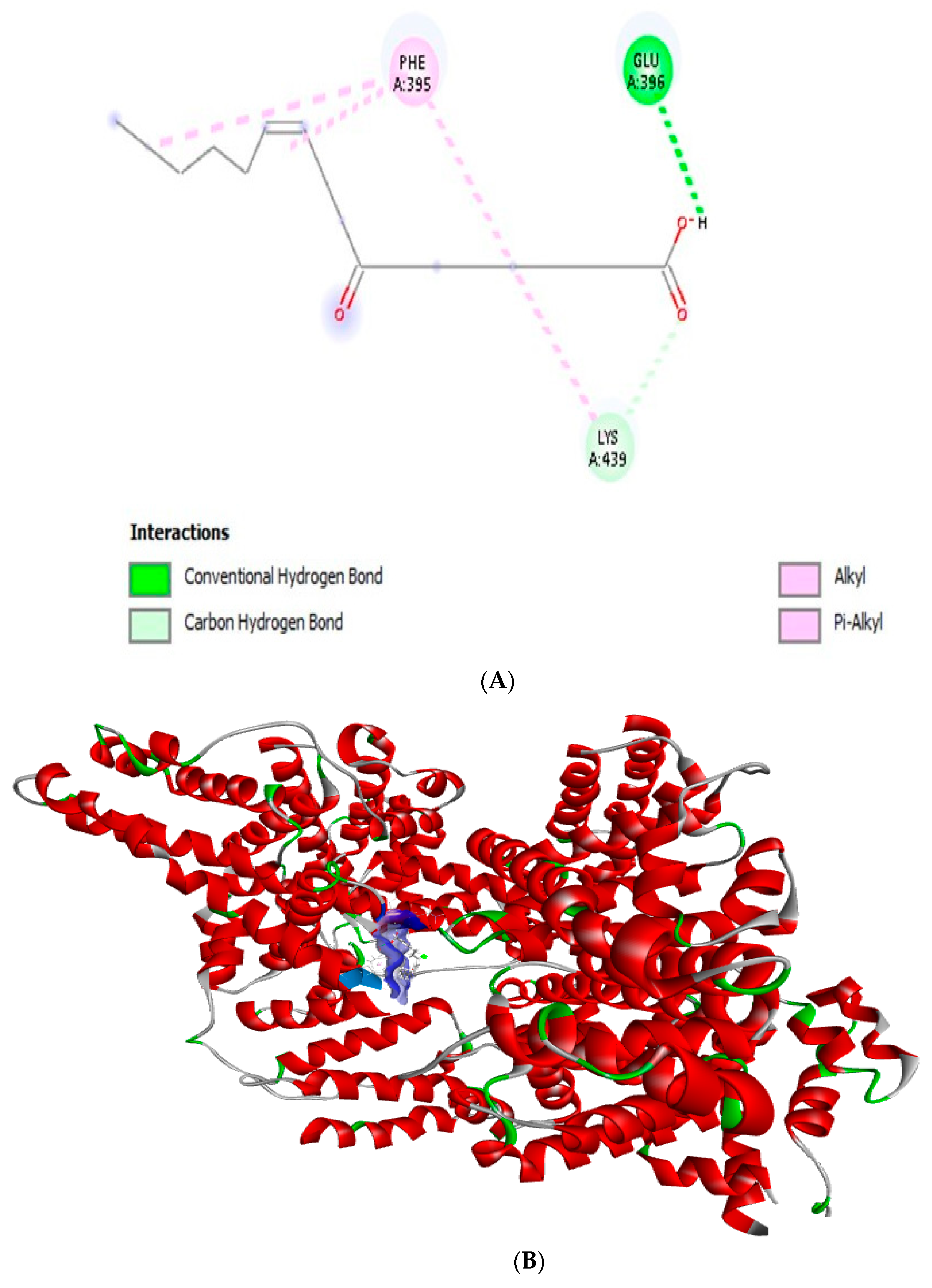 Biophysica 06 00048 g003 Biophysica 06 00048 g003