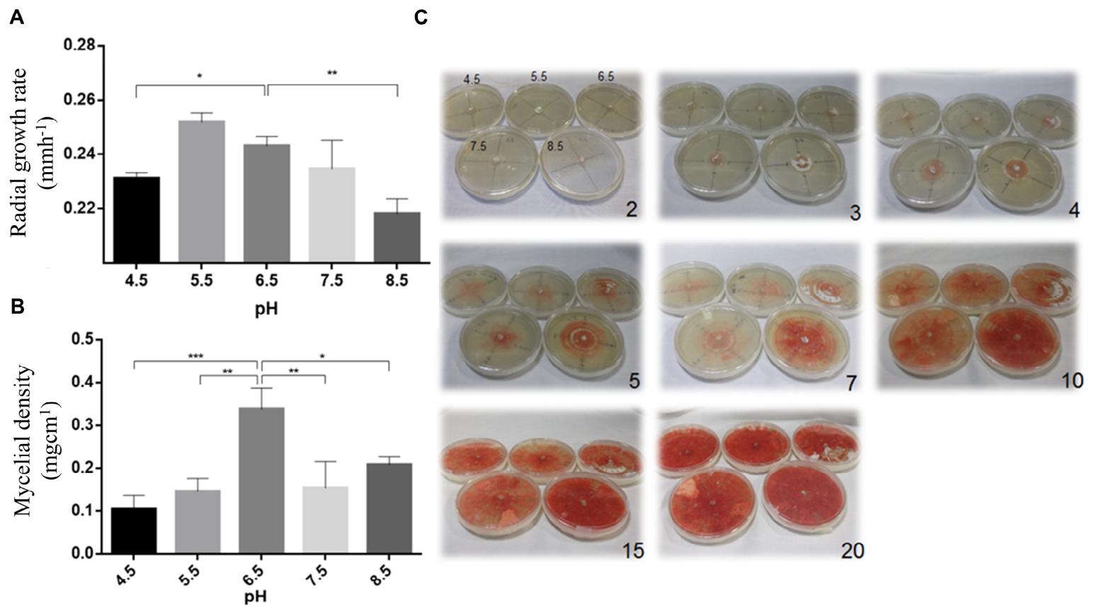 Bioresourbioprod 02 00023 g001 Bioresourbioprod 02 00023 g001