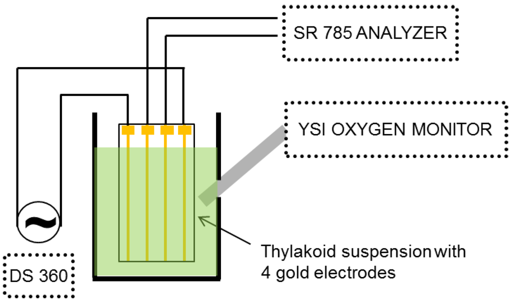 Biosensors 01 00013 g001 1024