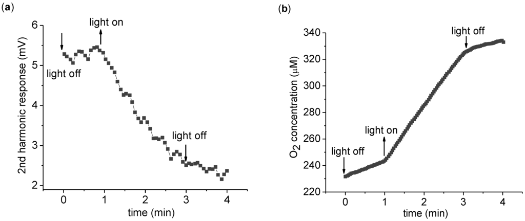 Biosensors 01 00013 g003 1024