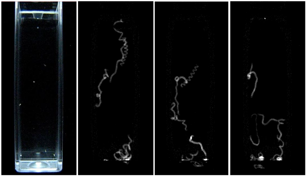 Biosensors 01 00036 g002 1024