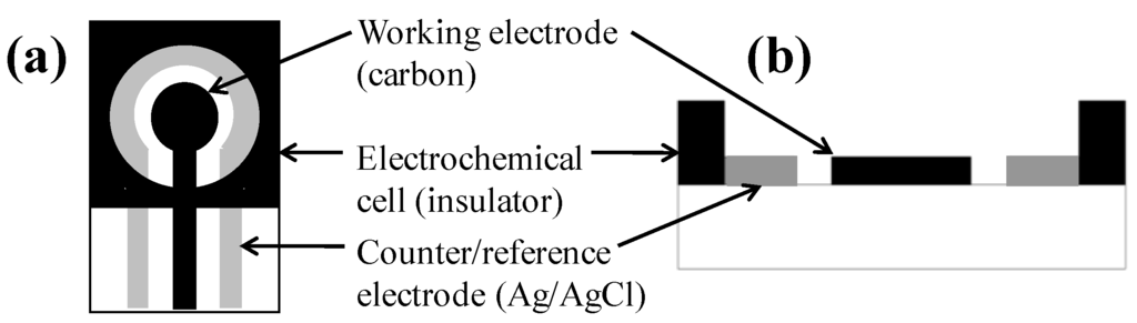 Biosensors 02 00015 g001 1024