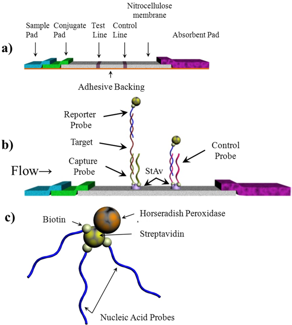 Biosensors 02 00032 g001 1024