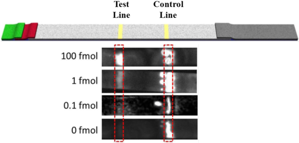 Biosensors 02 00032 g003 1024