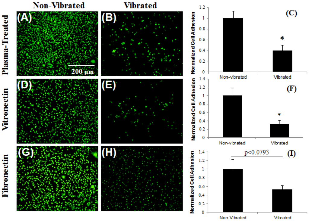 Biosensors 02 00057 g007 1024