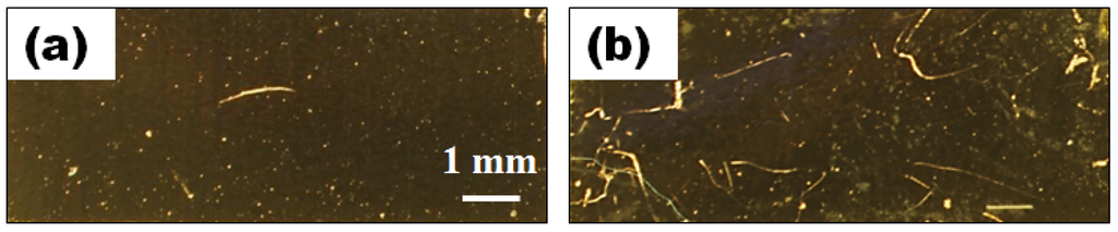 Biosensors 02 00057 g008 1024