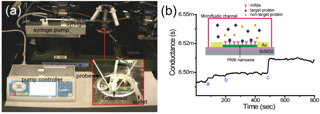 Biosensors 02 00205 g001 1024