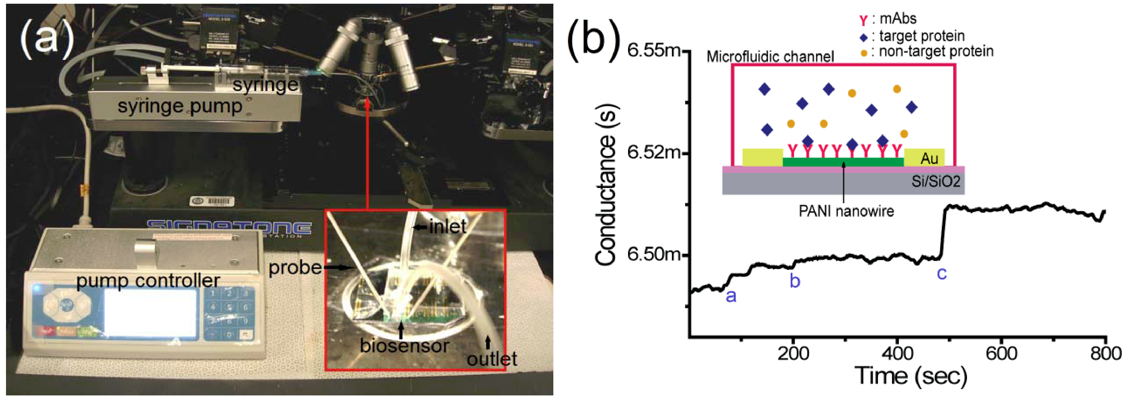 Biosensors 02 00205 g001
