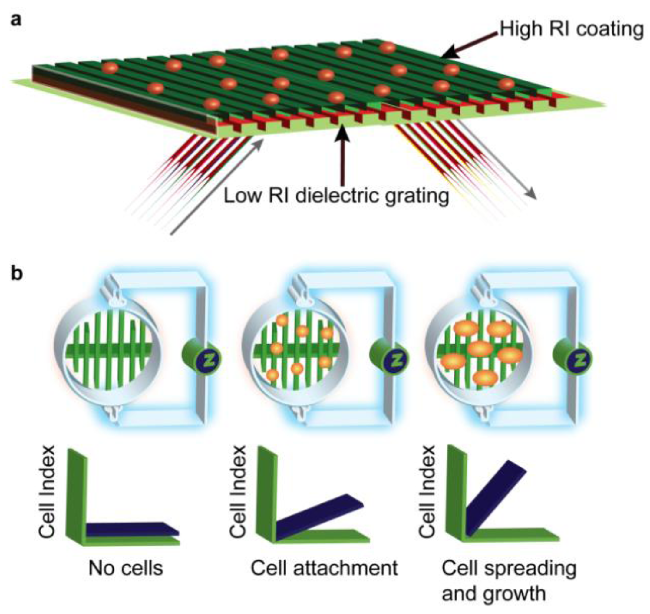Biosensors 02 00273 g001