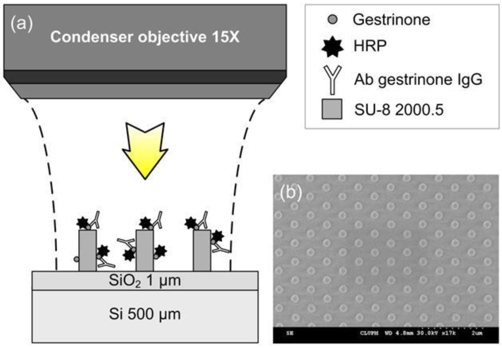 Biosensors 02 00291 g001 1024