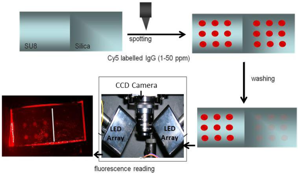 Biosensors 02 00291 g002 1024